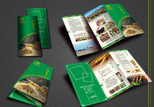 折頁產品說明書宣傳單可做多折黑白彩色來圖定制印刷