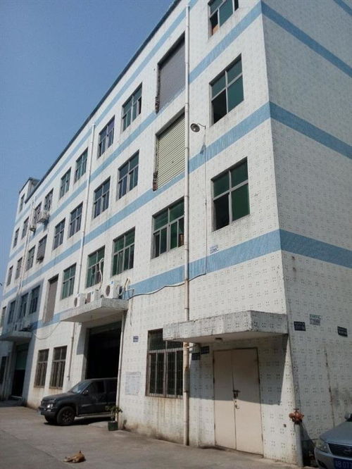 廣州市廠房結(jié)構(gòu)安全檢測(cè)公司哪家正規(guī)？工程設(shè)計(jì)需重視專業(yè)檢測(cè)