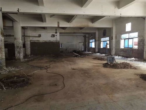 地震無(wú)情，數(shù)據(jù)有心 揭秘開(kāi)平市幼兒園房屋抗震檢測(cè)成本的多維考量